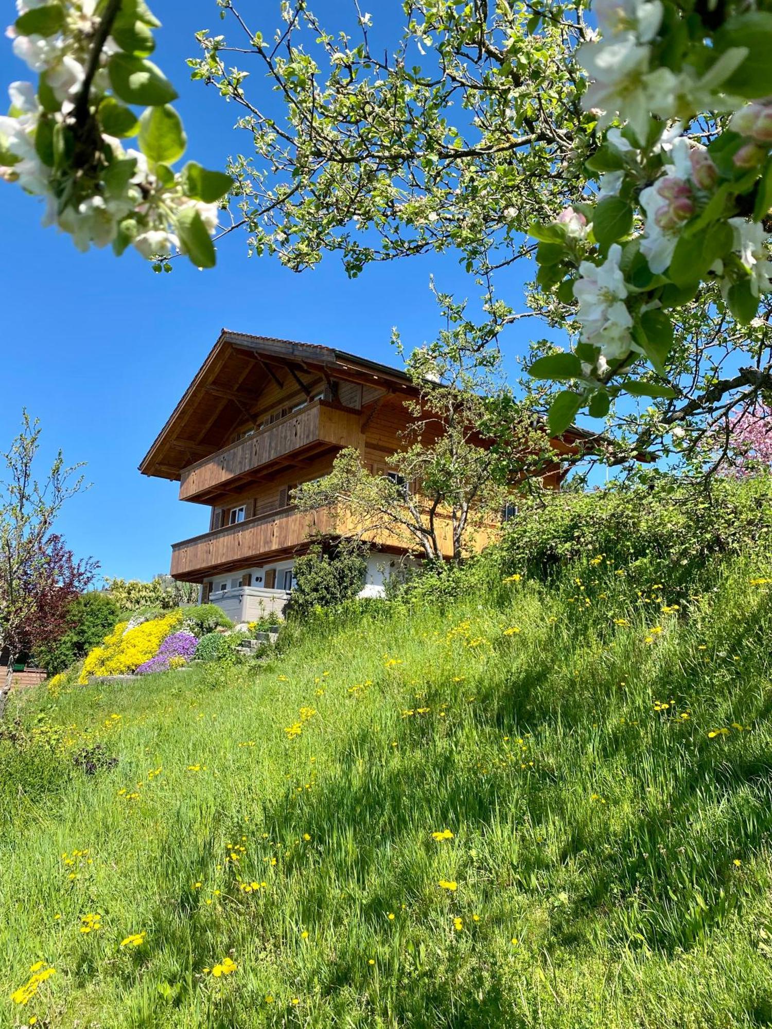 Chalet Egglen "Typical Swiss House, Best Views, Private Jacuzzi" Sigriswil Luaran gambar