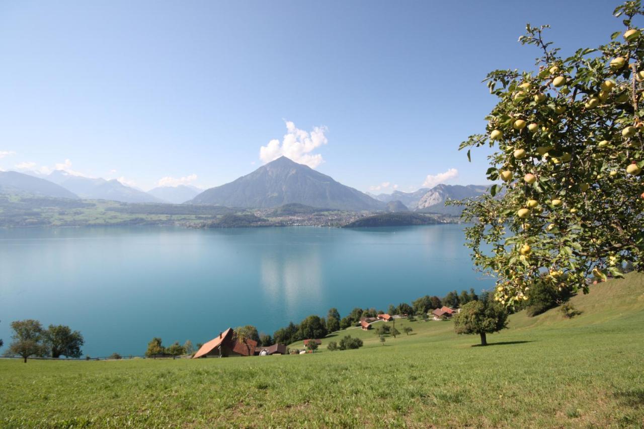 Chalet Egglen "Typical Swiss House, Best Views, Private Jacuzzi" Sigriswil Luaran gambar