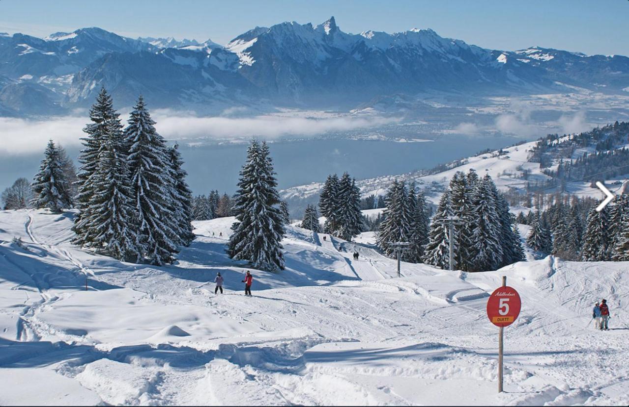 Chalet Egglen "Typical Swiss House, Best Views, Private Jacuzzi" Sigriswil Luaran gambar