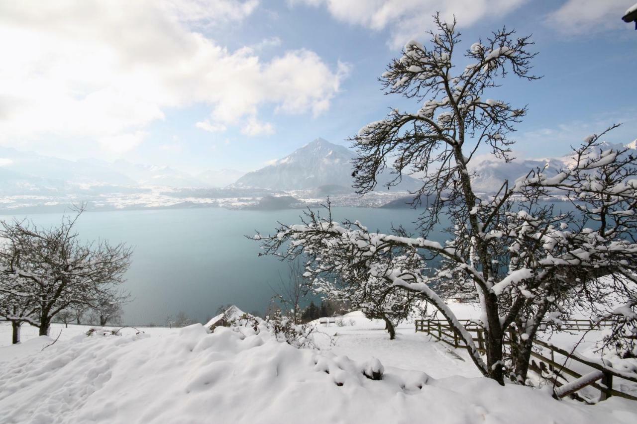 Chalet Egglen "Typical Swiss House, Best Views, Private Jacuzzi" Sigriswil Luaran gambar