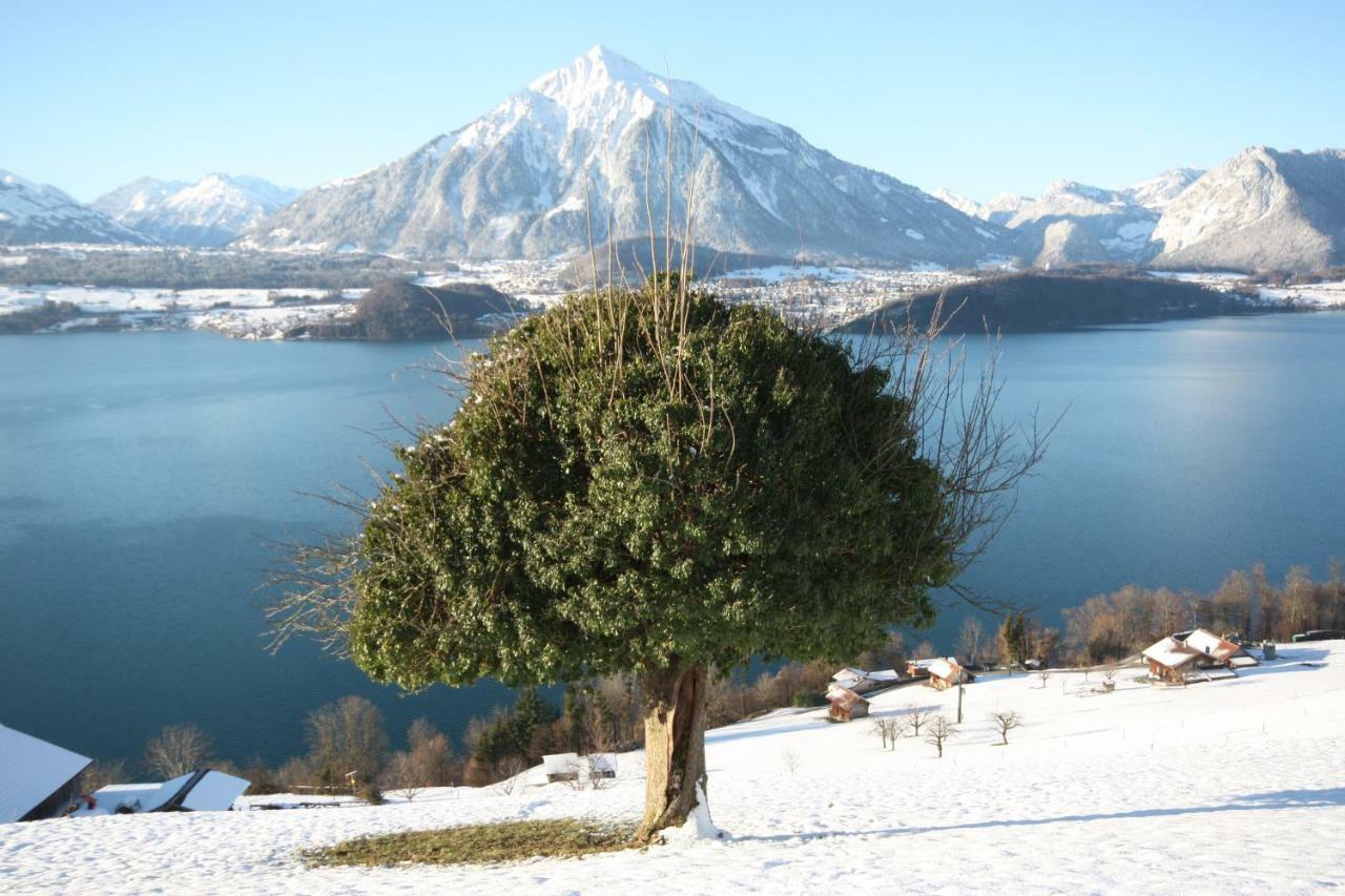 Chalet Egglen "Typical Swiss House, Best Views, Private Jacuzzi" Sigriswil Luaran gambar