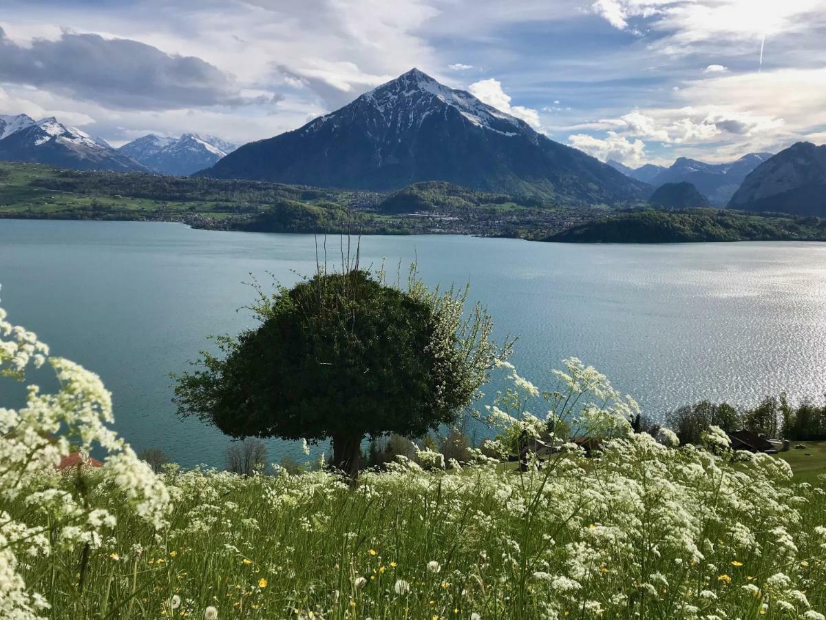 Chalet Egglen "Typical Swiss House, Best Views, Private Jacuzzi" Sigriswil Luaran gambar